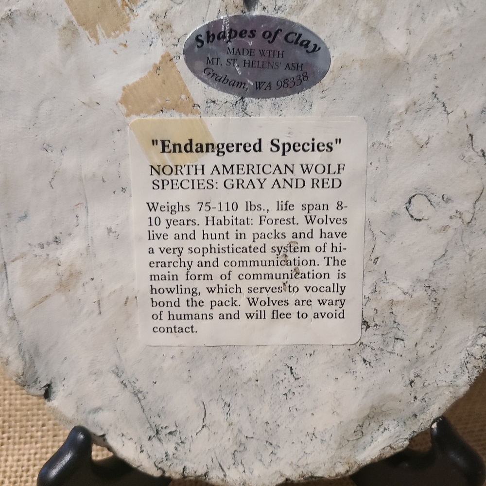 Vintage Stan Langtwait Shapes Of Clay North American Wolf Table/Wall Plaque - Picture 3 of 4